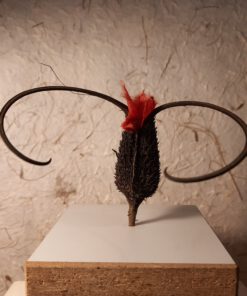 Die Liebe des Torero
